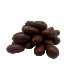 Chocolate Covered Raisins