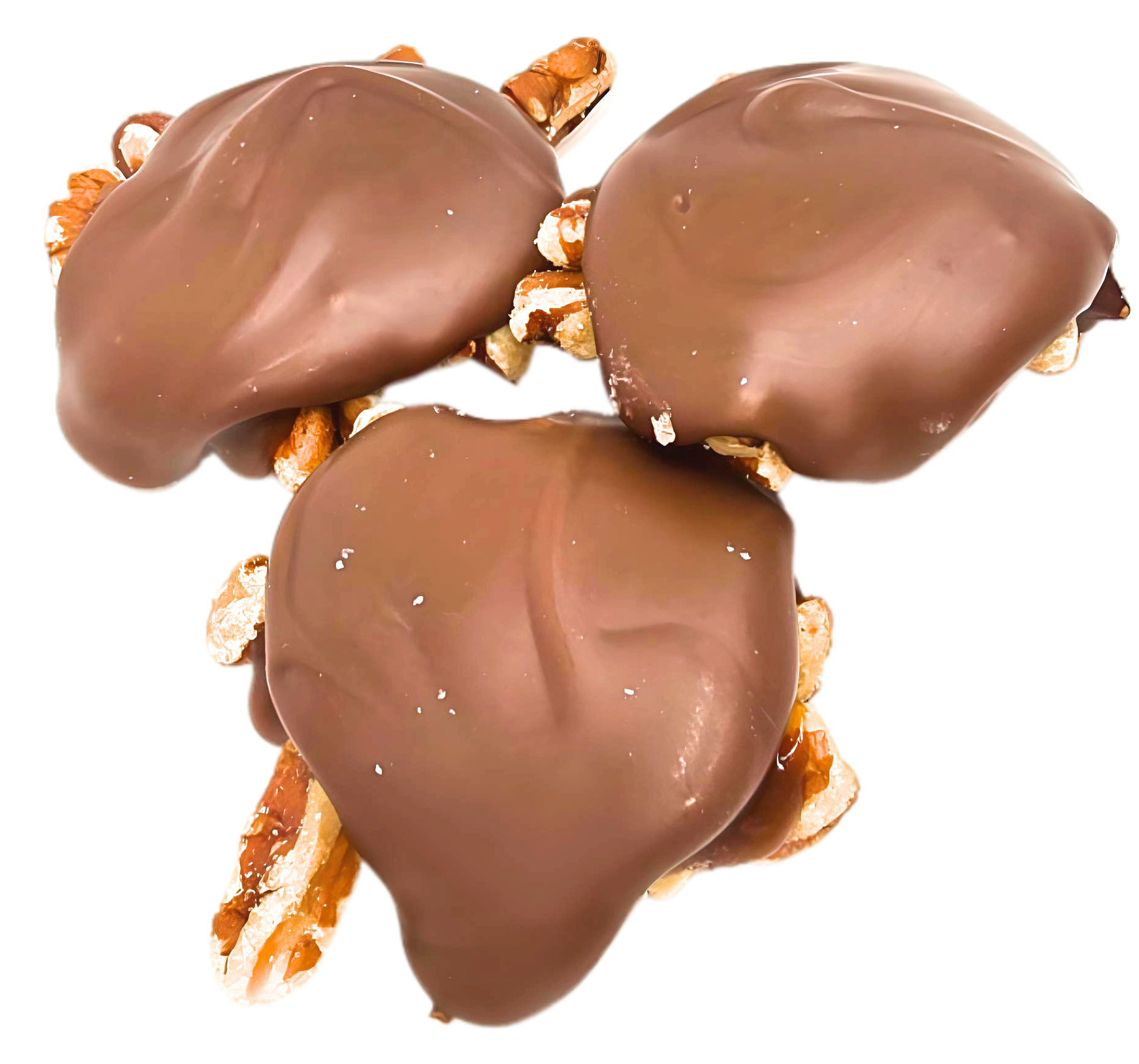 Pecan Turtles (3-Pack)