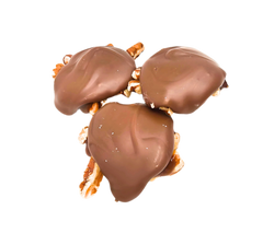 Pecan Turtles